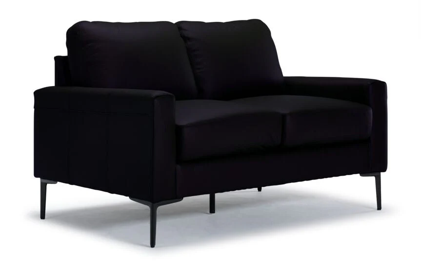 Arcadia Leather Sofa and Loveseat Set - Raven - Image 3