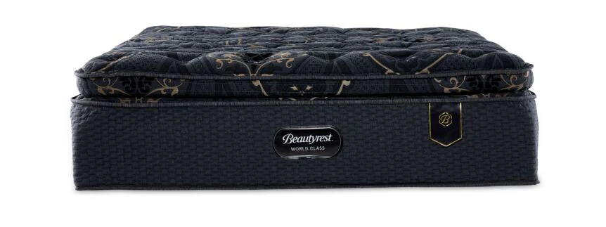 Beautyrest World Class Harmony Plush Twin XL Set - Image 3
