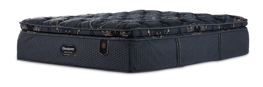 Beautyrest World Class Harmony Plush Twin XL Set - Image 4