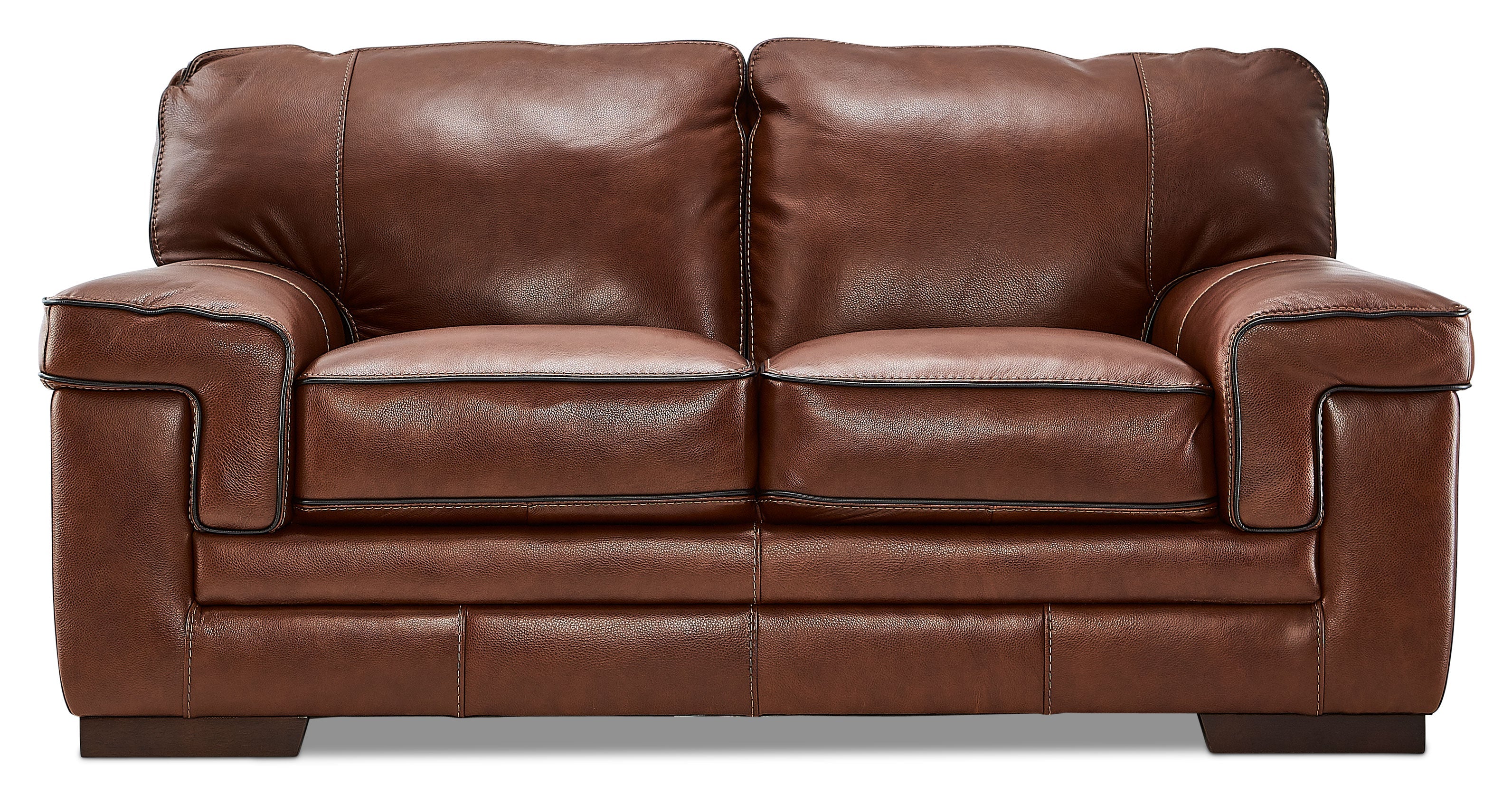 Colton Genuine Leather Loveseat - Cognac - Image 2