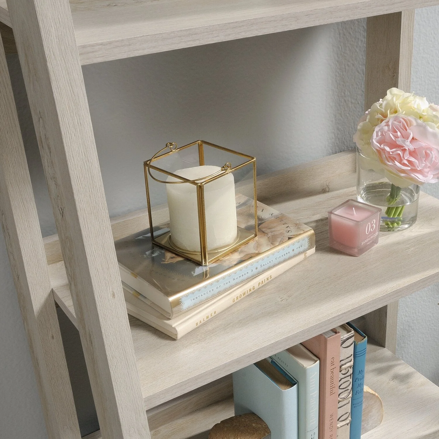 Ira Ladder Style Bookcase - Chalked Chestnut - Image 3