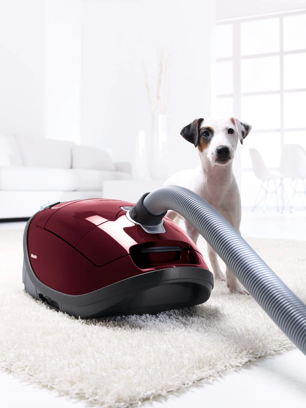Miele Complete C3 Limited Edition Canister Vacuum - 41GDE040CDN - Image 14