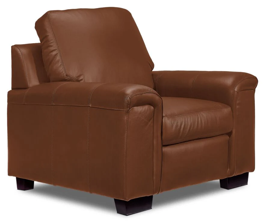 Webster Leather Sofa and Chair Set - Saddle - Image 3