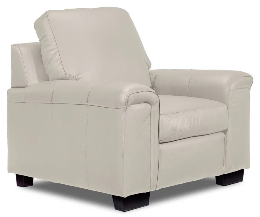 Webster Leather Sofa, Loveseat and Chair Set - Cloud Grey - Image 4