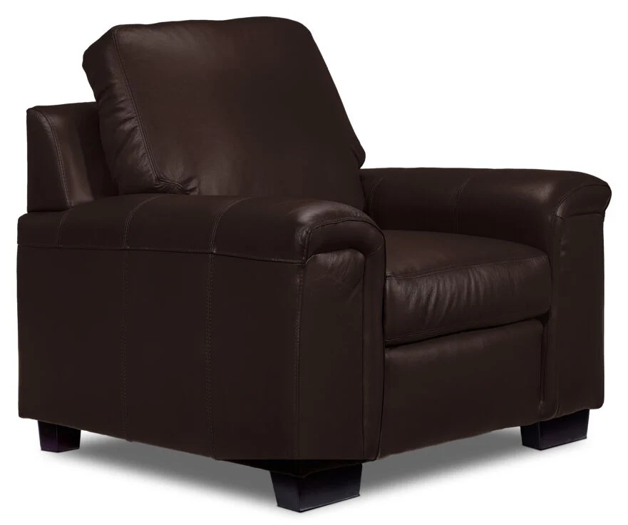 Webster Leather Sofa, Loveseat and Chair Set - Mocha - Image 4