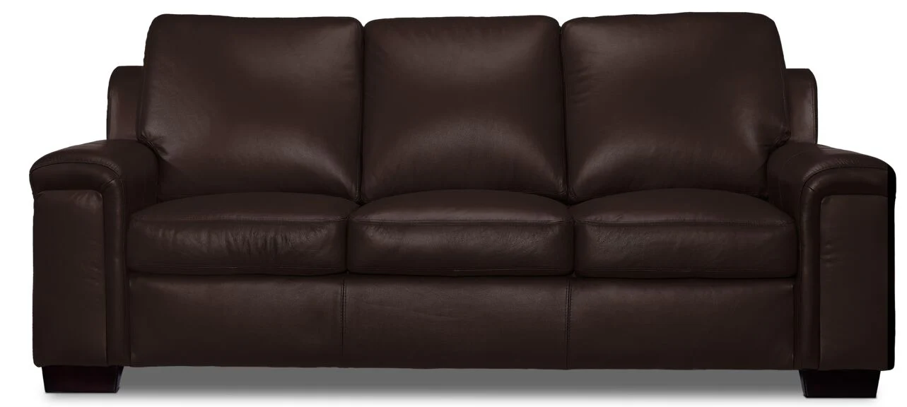 Webster Leather Sofa - Mocha - Image 2