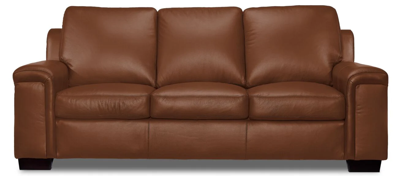 Webster Leather Sofa - Saddle - Image 2