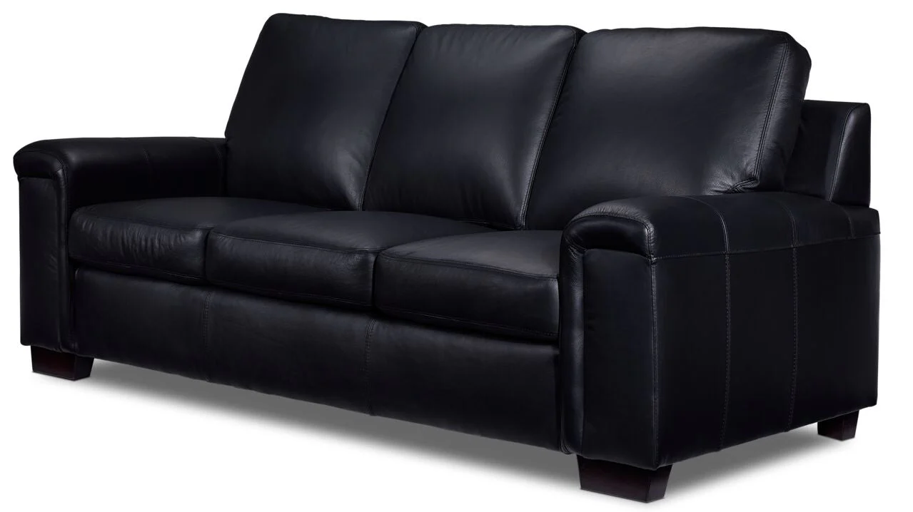 Webster Leather Sofa, Loveseat And Chair Set - Black - Image 2
