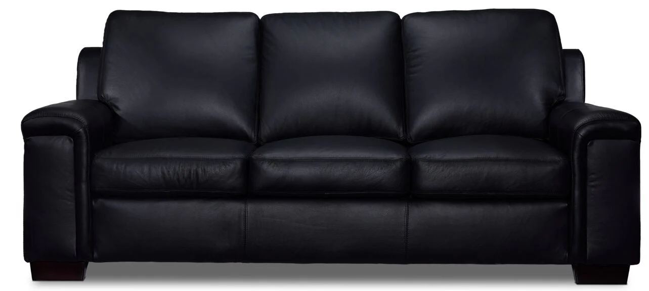 Webster Leather Sofa, Loveseat And Chair Set - Black - Image 3