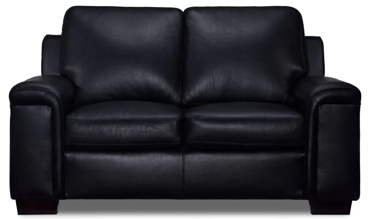 Webster Leather Sofa, Loveseat And Chair Set - Black - Image 5
