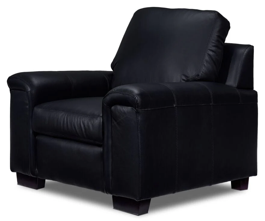 Webster Leather Sofa, Loveseat And Chair Set - Black - Image 6