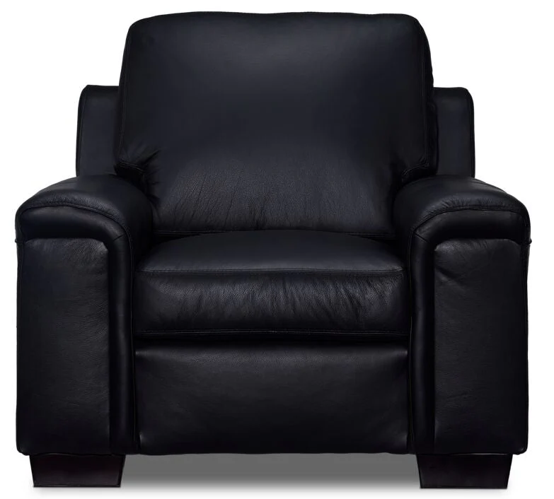 Webster Leather Sofa, Loveseat And Chair Set - Black - Image 7